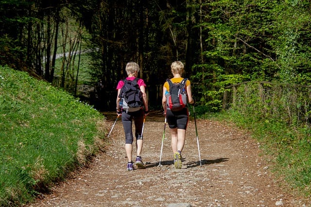 LelkesTest Nordic walking 50+ program az egyházmegyében