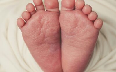 9 hónap az Életről – A tudás, ami életet menthet