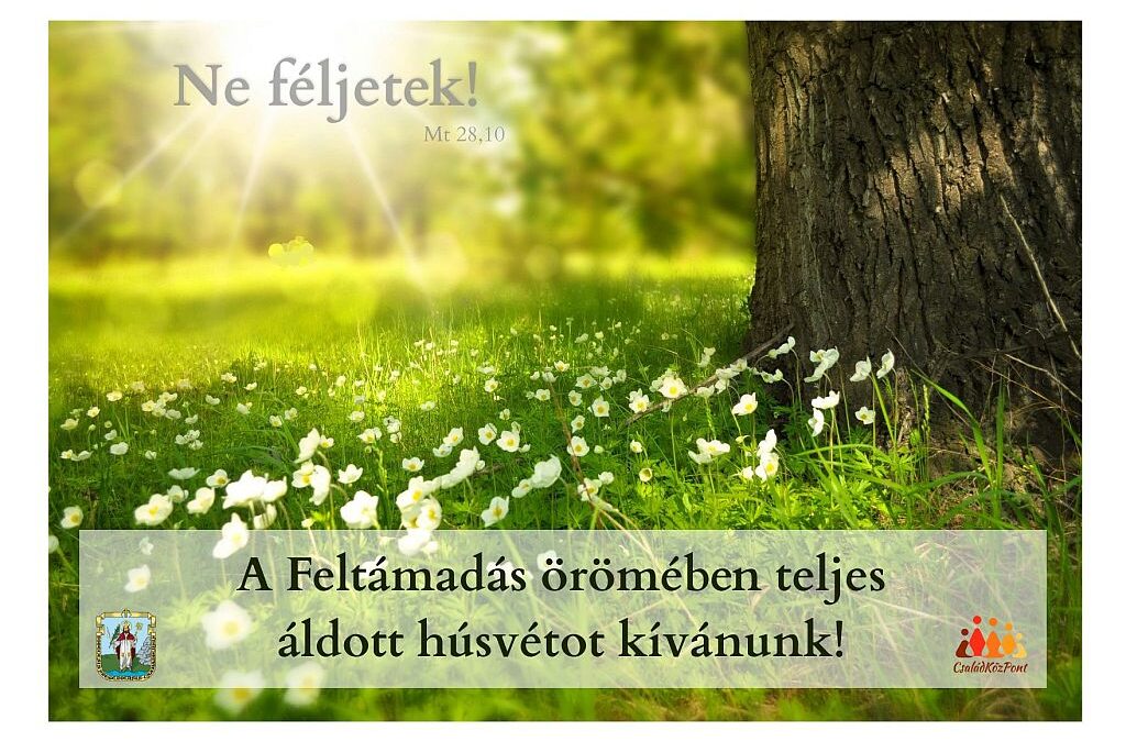 Áldott húsvétot kívánunk!