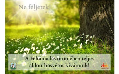 Áldott húsvétot kívánunk!
