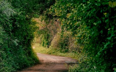 TermészetBarát zarándokséta Szent Ferenc nyomában